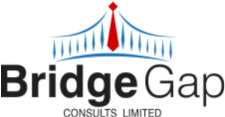 bridgegap logo